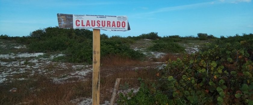 Clausuran delimitación ilegal en Chuburná Puerto