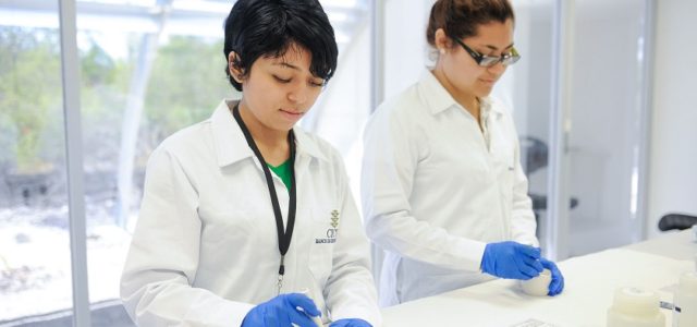 Apuesta Yucatán por la comercialización de soluciones tecnológicas