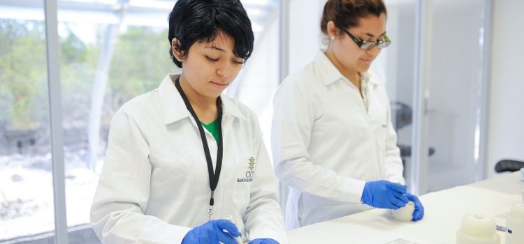Apuesta Yucatán por la comercialización de soluciones tecnológicas