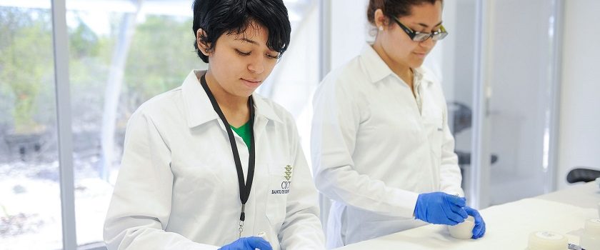 Apuesta Yucatán por la comercialización de soluciones tecnológicas