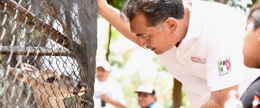 Piden a Víctor Caballero atender zoológico en la colonia Mulsay