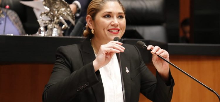 Verónica Camino lleva propuesta al Senado