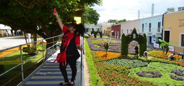 Más de 30 mil personas visitan el Camino de Flores