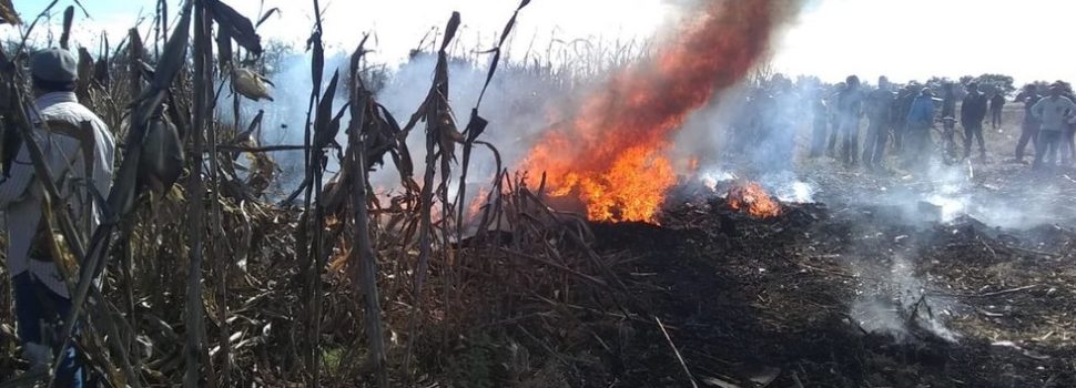 Muere gobernadora de Puebla y Moreno Valle en accidente aéreo