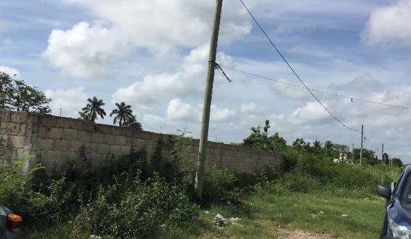 Una mujer intensa suicidarse porque no recibió regalo de Navidad