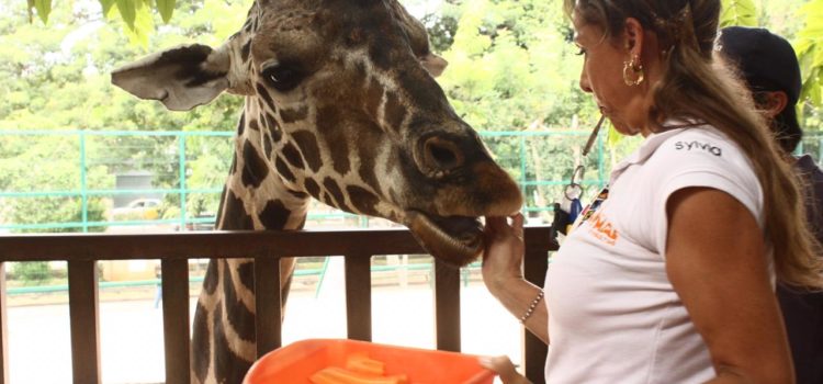 Centenario y Animaya incorporan nuevos métodos para el cuidado y bienestar de los animales