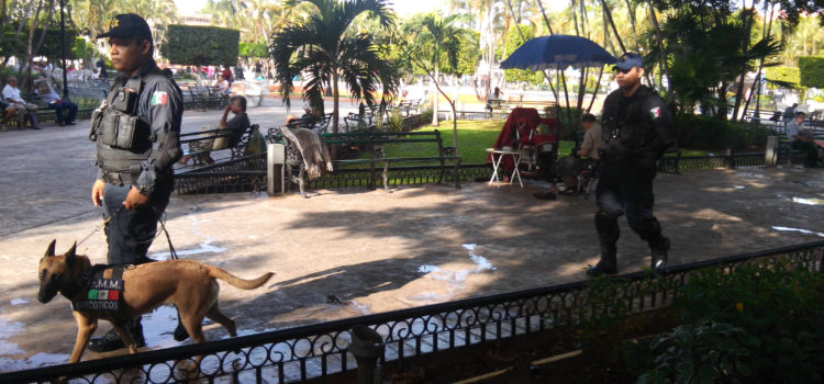 En operativo decembrino, 668 detenidos: Ayuntamiento de Mérida