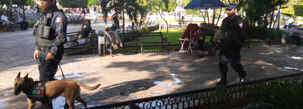 En operativo decembrino, 668 detenidos: Ayuntamiento de Mérida