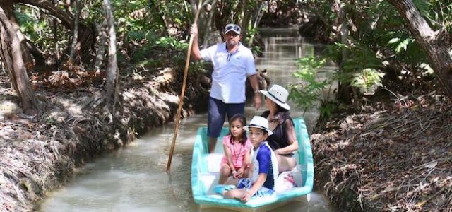 Festival de la Veda, oportunidad que detona turismo en la costa yucateca