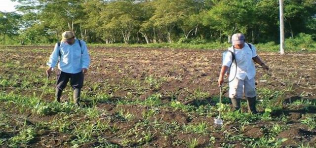 Arranca en Yucatán “Producción para el Bienestar”