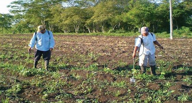 Arranca en Yucatán “Producción para el Bienestar”