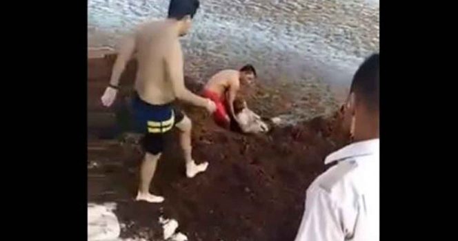 Turista casi se ahoga en sargazo de Playa del Carmen