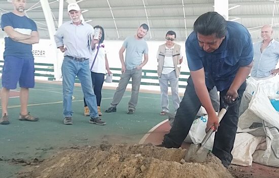 Más productividad y mejores precios con la agricultura orgánica