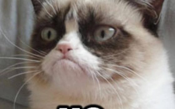 Siempre nos quedarán sus memes: ha muerto la gata ‘Grumpy Cat’