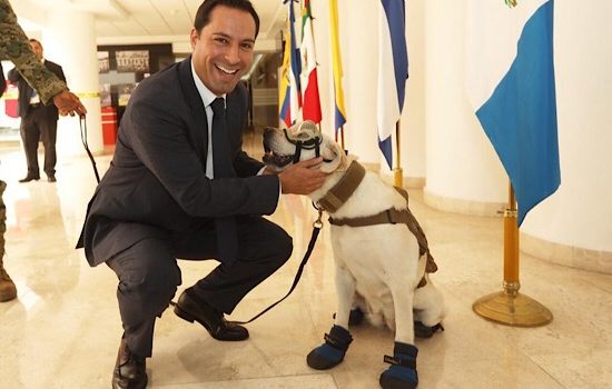 Vila conoce a “Frida”, rescatista canina del sismo del 19 de septiembre