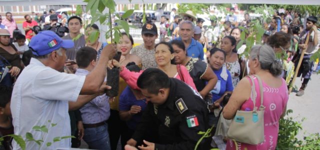 En Tekax realizan la campaña adopta un árbol