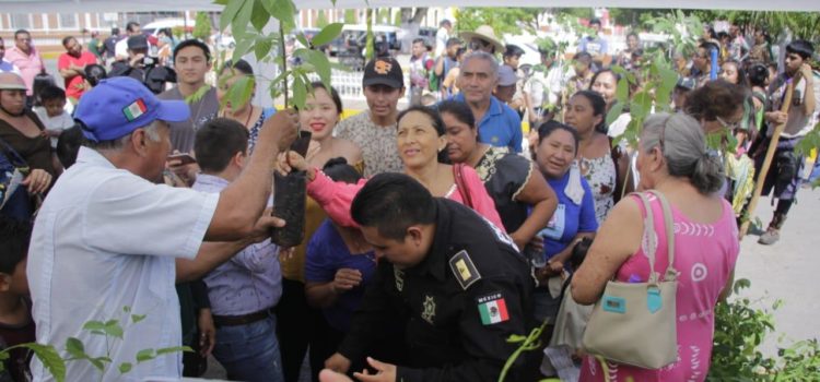 En Tekax realizan la campaña adopta un árbol