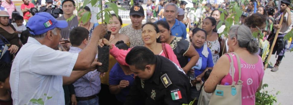 En Tekax realizan la campaña adopta un árbol