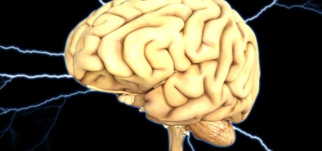 La ciencia ya sabe cómo volver a la vida el cerebro de un humano muerto