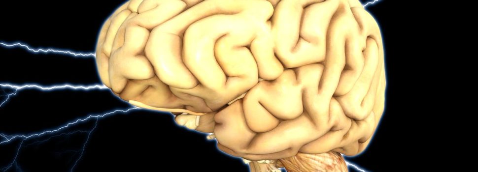 La ciencia ya sabe cómo volver a la vida el cerebro de un humano muerto