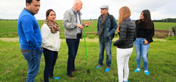 Mérida suma elementos para alcanzar la distinción de “Ciudad Creativa”