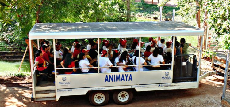 El lunes Animaya abrirá sus puertas para que las familias disfruten el asueto en sus instalaciones