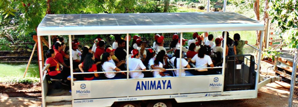 El lunes Animaya abrirá sus puertas para que las familias disfruten el asueto en sus instalaciones