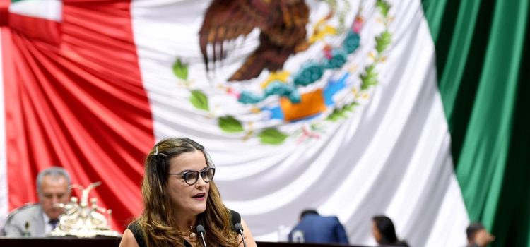 Parte Cecilia Patrón al Congreso de la Unión con abultada agenda de trabajo