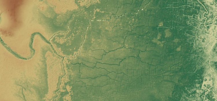 Hallan una enorme red de canales y cultivos mayas oculta bajo la selva
