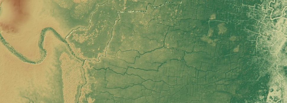 Hallan una enorme red de canales y cultivos mayas oculta bajo la selva