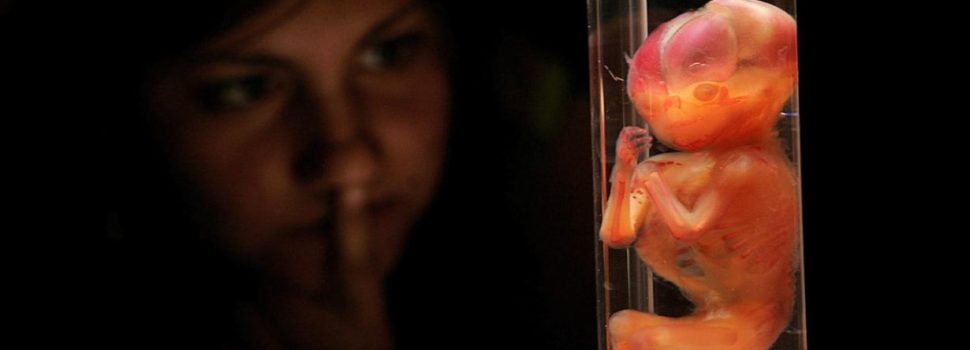 ¿Por qué la bioética permite el aborto hasta las 12 semanas?