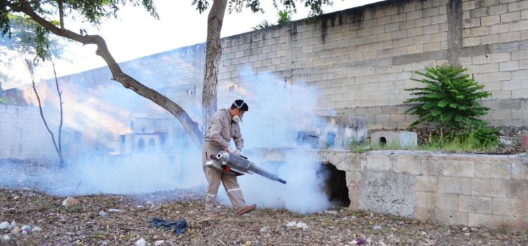 Ocupa Yucatán lugar 15 a nivel nacional en casos de dengue