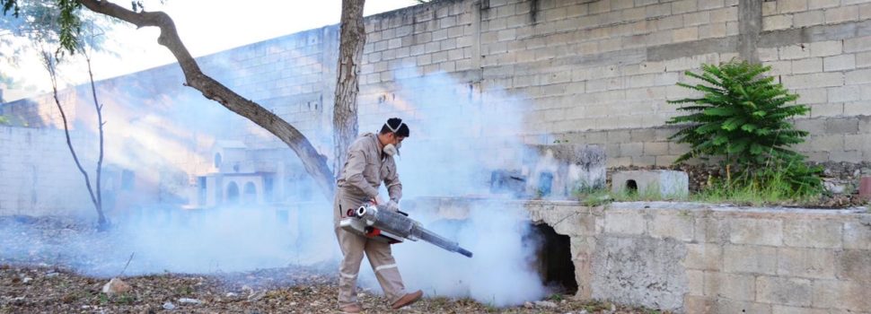 Ocupa Yucatán lugar 15 a nivel nacional en casos de dengue