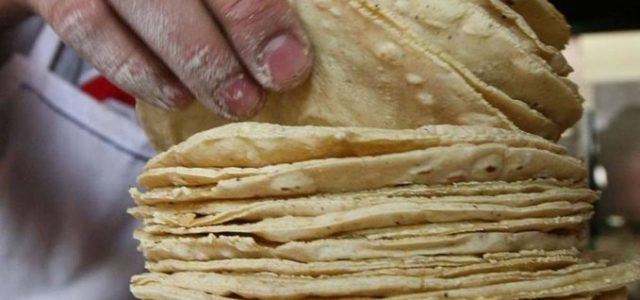 Advierten que Ley contra maíz híbrido encarecerá la tortilla