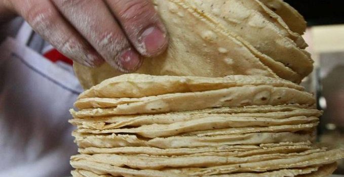 Advierten que Ley contra maíz híbrido encarecerá la tortilla