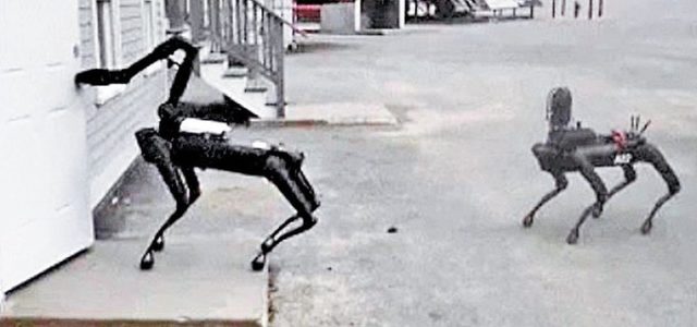 La policía estatal de Massachusetts ya prueba perros robot