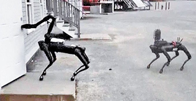 La policía estatal de Massachusetts ya prueba perros robot
