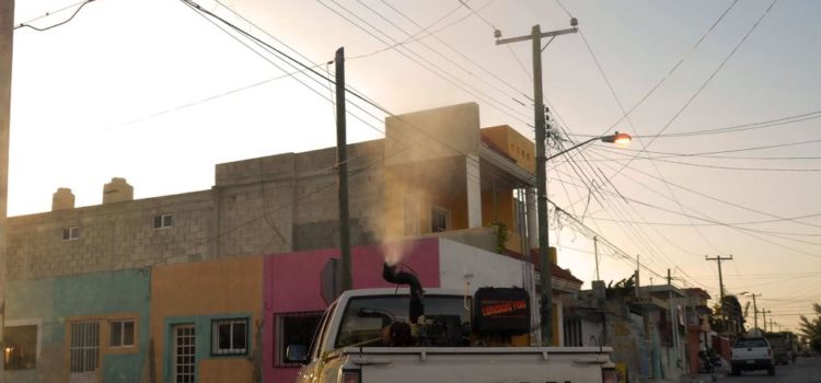 Estrategia continua, clave para controlar el dengue en Yucatán