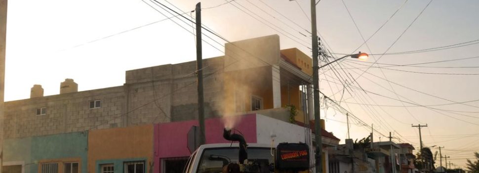 Estrategia continua, clave para controlar el dengue en Yucatán