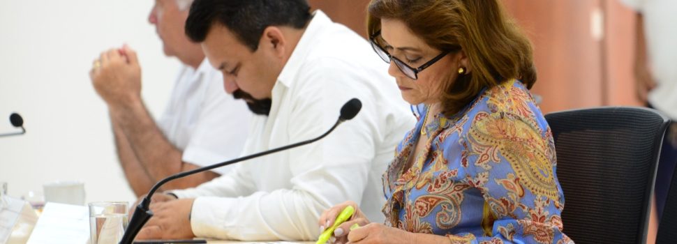 Aprueban en comisión primeros dictámenes del Paquete Fiscal 2020