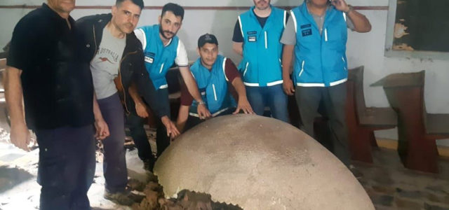 Recuperan los fósiles de un megamamífero de más de 10.000 años de antigüedad