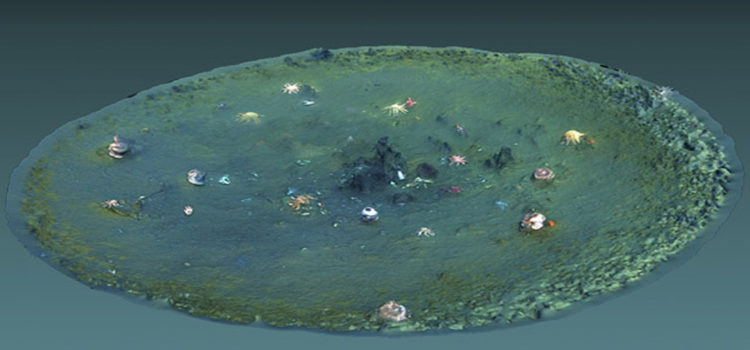 Descubren miles de misteriosos agujeros frente a las costas de California