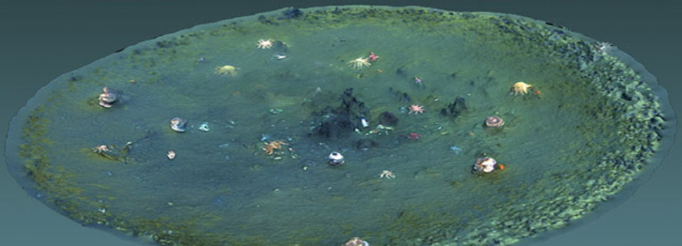 Descubren miles de misteriosos agujeros frente a las costas de California