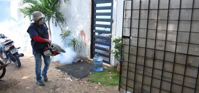 Reporta SSY notables avances en el combate al dengue en Yucatán
