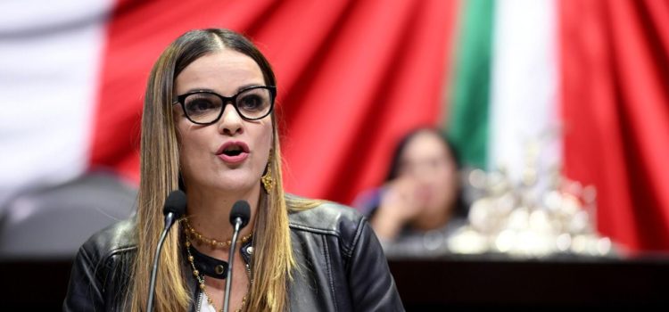 Golpe a los mexicanos con la liberación de miles de delincuentes, denuncia Cecilia Patrón