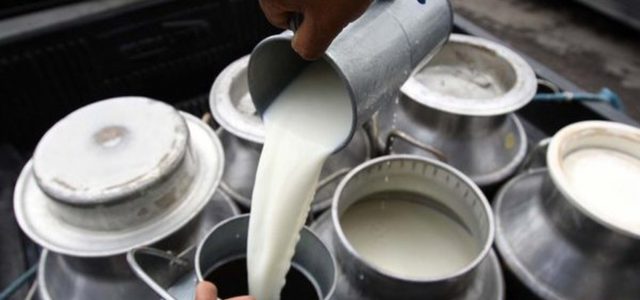 Profeco revisará que cremas de leche de vaca realmente lo sean