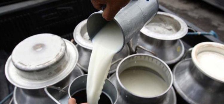 Profeco revisará que cremas de leche de vaca realmente lo sean