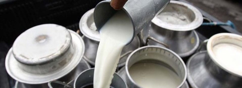 Profeco revisará que cremas de leche de vaca realmente lo sean