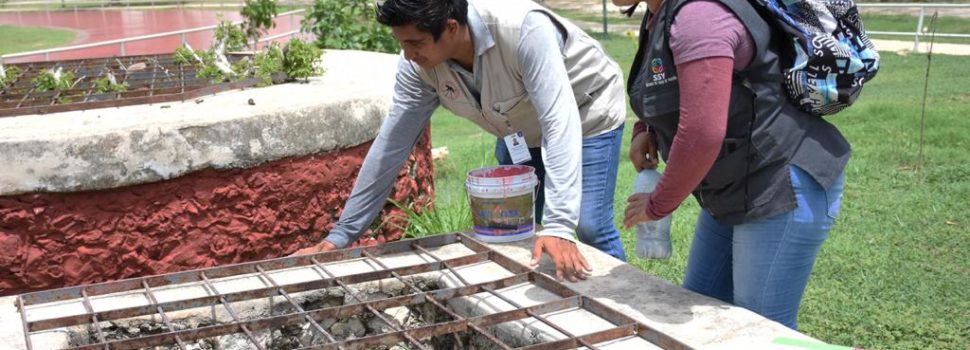 Participación ciudadana, clave en la lucha contra el dengue: SSY