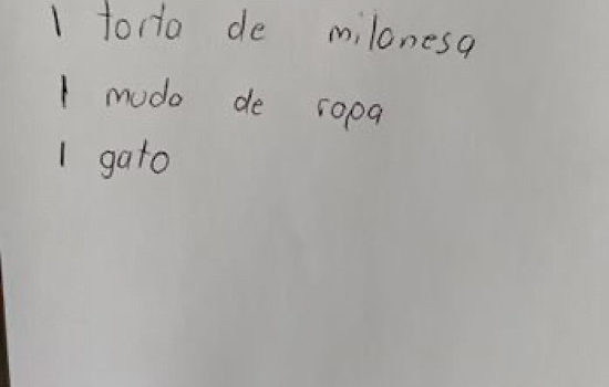 ¡No es broma!, niño pidió torta de milanesa a Reyes Magos